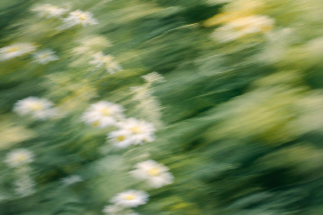 Abstract green motion blur